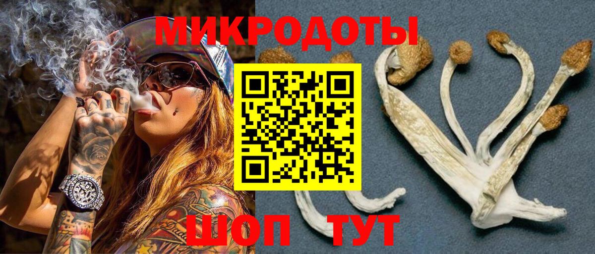 Галлюциногенные грибы мухоморы Луга