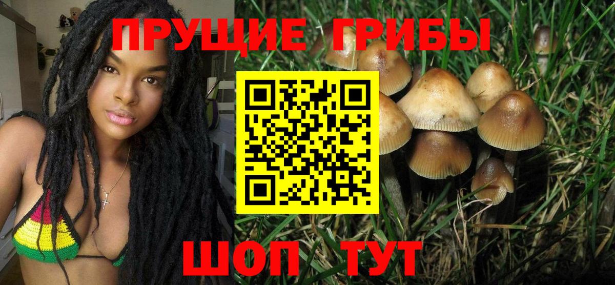 Луга  Галлюциногенные грибы ЛСД  Вход с VPN 